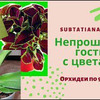 фото Татьяна Субботина фото Татьяна Субботина
