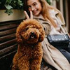 реклама на блоге Александра Македонская реклама на блоге Александра Македонская