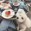 новое фото Инна Фисун новое фото Инна Фисун