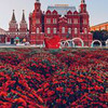 фотография Айгуль Вишня фотография Айгуль Вишня