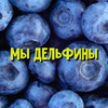 фотография kosh_dp фотография kosh_dp