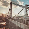 фотография Таша Шарк фотография Таша Шарк