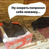 фотография Саша Микерина фотография Саша Микерина