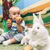 фотография Кристина Сти фотография Кристина Сти