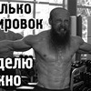 реклама на блоге exfibra реклама на блоге exfibra