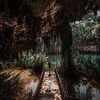 фото на странице Филипп Чевелев фото на странице Филипп Чевелев