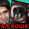 фотография _aloyavera фотография _aloyavera