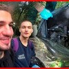 разместить рекламу в блоге Борис Гранкин разместить рекламу в блоге Борис Гранкин
