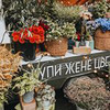 реклама на блоге Наталья Панфёрова реклама на блоге Наталья Панфёрова