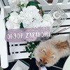 новое фото Юля Юлина новое фото Юля Юлина