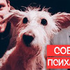реклама в блоге camvsman реклама в блоге camvsman