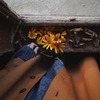 фотография Мария Соловей фотография Мария Соловей