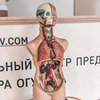 фотография Дарья Садовая фотография Дарья Садовая