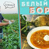 фото на странице b.o.r.s.c.h фото на странице b.o.r.s.c.h