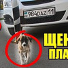 реклама на блоге vadimdab реклама на блоге vadimdab