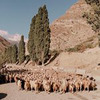 фото на странице Мария Саямова фото на странице Мария Саямова