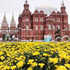 фото Ольга Окфото фото Ольга Окфото