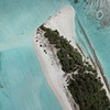 фотография Алиса Илиева фотография Алиса Илиева