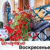 фотография Оля Лучич фотография Оля Лучич