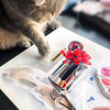 новое фото Мария Мишкарева новое фото Мария Мишкарева