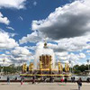 разместить рекламу в блоге Илья Синус разместить рекламу в блоге Илья Синус