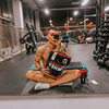 реклама в блоге malinogang реклама в блоге malinogang