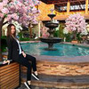 фотография Алина Норка фотография Алина Норка