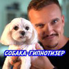 фото на странице Юрий Кузнецов фото на странице Юрий Кузнецов