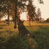 фото на странице Ирина Бублик фото на странице Ирина Бублик
