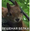 фото на странице Ольга Кравчук фото на странице Ольга Кравчук