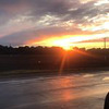 новое фото Елена Саламатина новое фото Елена Саламатина