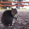 лучшие фото Яна Троянова лучшие фото Яна Троянова