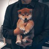 фотография Федор Стрелков фотография Федор Стрелков