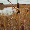 фотография Айя Стайлнотс фотография Айя Стайлнотс