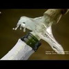 лучшие фото Наталья Темурчева лучшие фото Наталья Темурчева