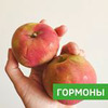 заказать рекламу у блогера Ольга Raw_vegfood заказать рекламу у блогера Ольга Raw_vegfood
