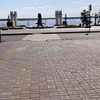 фото Мария Покусаева фото Мария Покусаева