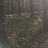 разместить рекламу в блоге Юрий Торский разместить рекламу в блоге Юрий Торский