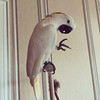 фотография i_will_never_show фотография i_will_never_show
