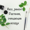 фотография Екатерина Amelyrain.eco фотография Екатерина Amelyrain.eco