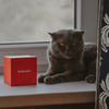 фотография Мария Крутова фотография Мария Крутова