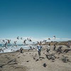 фотография Динана Жукова фотография Динана Жукова