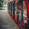 фотография Дарья Кувшинникова фотография Дарья Кувшинникова