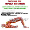 заказать рекламу у блоггера Фитнес Фо Вумен заказать рекламу у блоггера Фитнес Фо Вумен