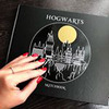 фотография Светлана Гришакова фотография Светлана Гришакова