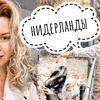 фото на странице alena.pogrebnyak фото на странице alena.pogrebnyak