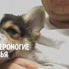 новое фото Алексей Кочемасов новое фото Алексей Кочемасов