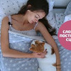 фотография artalisa фотография artalisa