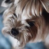 фотография Ольга Волконская фотография Ольга Волконская