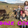 фото на странице family_brovchenko фото на странице family_brovchenko